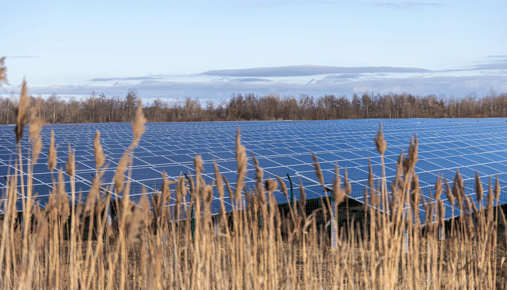 Australia's Solar Sector