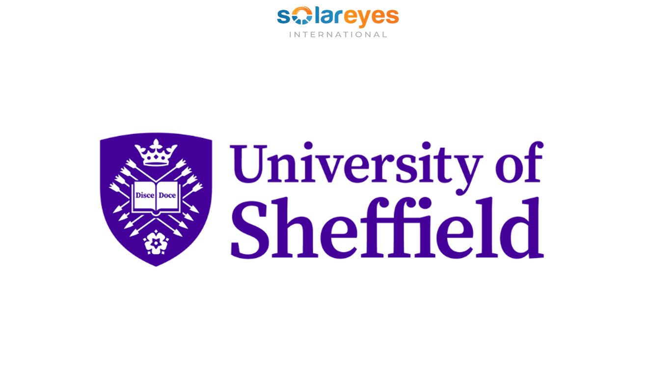 Senior Research Fellow - Energy Institute - University of Sheffield, £59,421 to £66,857 annually