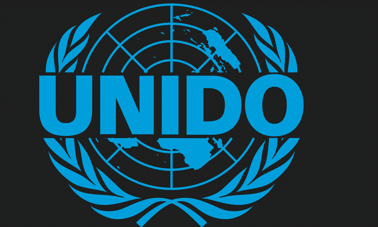 UNIDO is Hiring - x24 positions in Austria, Pakistan, Japan, Ghana, Cambodia, China, Ukraine, Ethiopia, Comoros, DRC, Iran, Chad, Madagascar and Home based