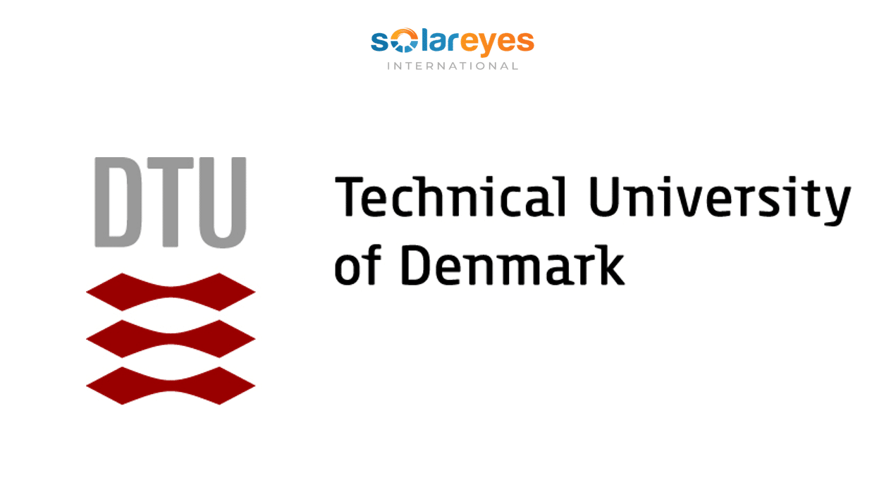 DTU Tenure Track Researcher or Senior Researcher in renewable energy value chains and local industrial development - DTU Wind